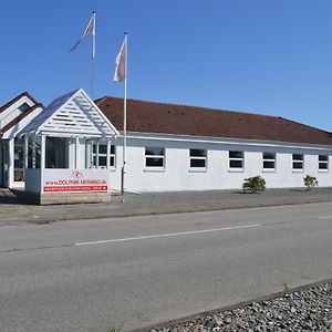 Dolphin Rooms